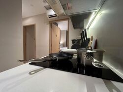 Mount Elizabeth Link (D9), Condominium #484100531